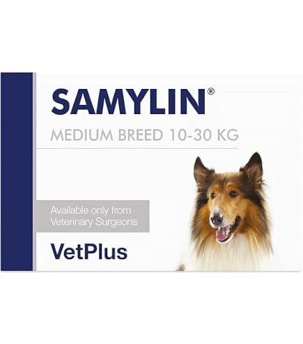 VetPlus Samylin Large Breed 30 Tablets : Amazon.co.uk: Health